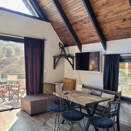 Hotel Vivahill 4*